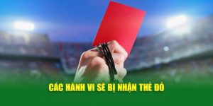 Các hành vi sẽ bị nhận thẻ đỏ