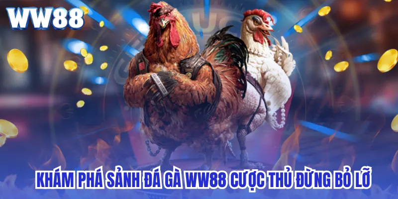Khám phá sảnh đá gà ww88 cược thủ đừng bỏ lỡ